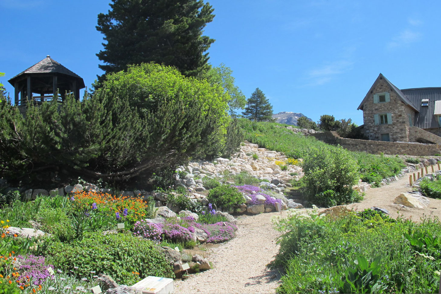 2ha de jardin au col du Lautaret