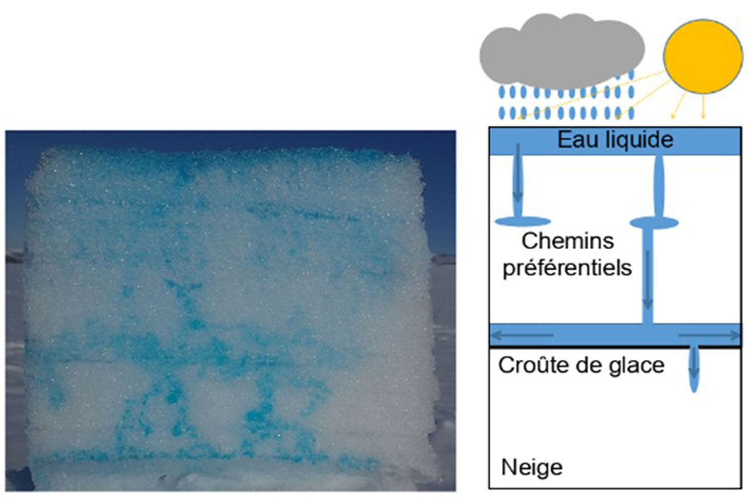 écoulement d'eau dans la neige