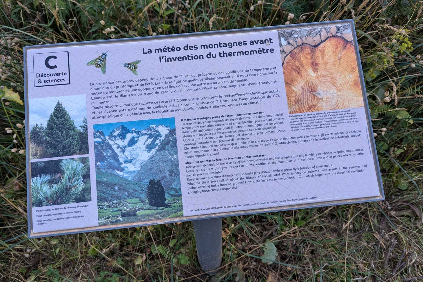 Parcours découverte et sciences