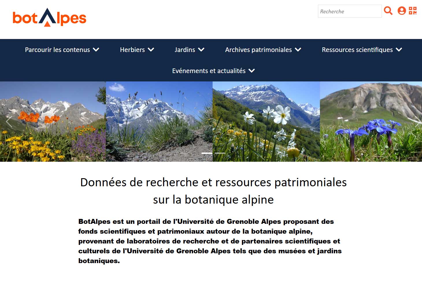 site Web portail BotAlpes