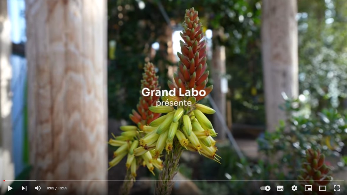 Lien émission Lieux de science, chaine youtube Grand Labo