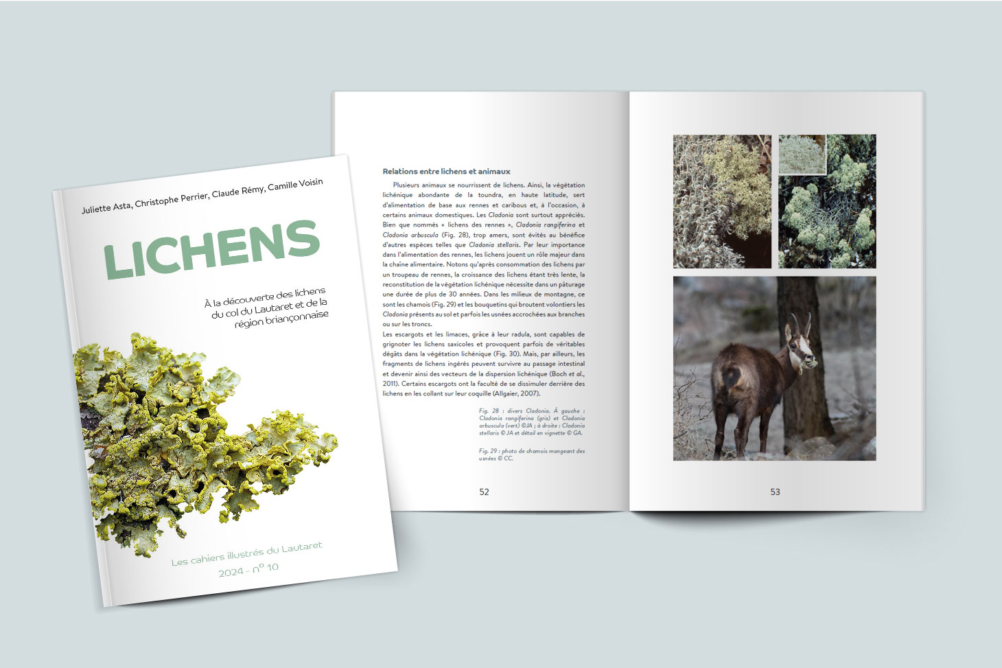 Cahier illustré n°10 - Lichens